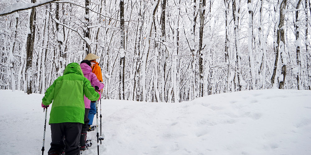 オプショナルツアー