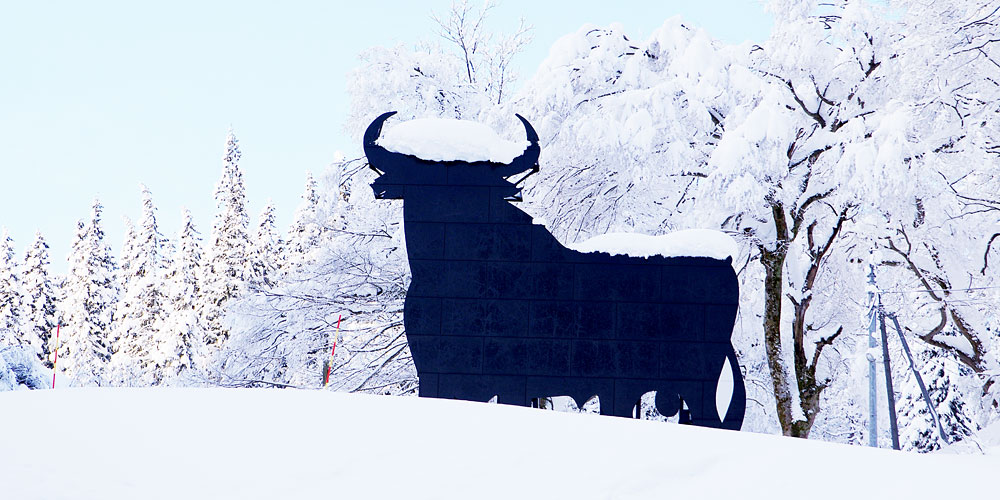 ブラックシンボル