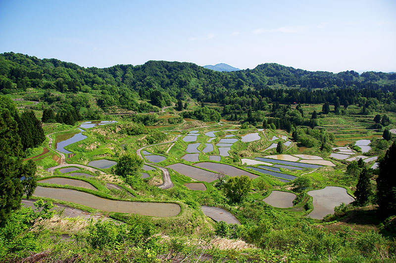 星峠の棚田