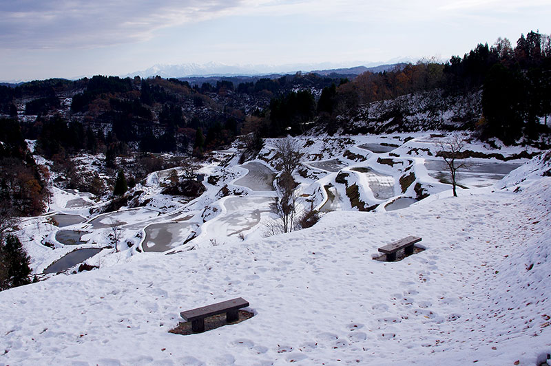 蒲生の棚田