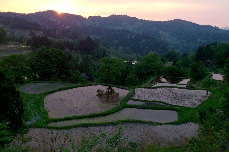 儀明の棚田