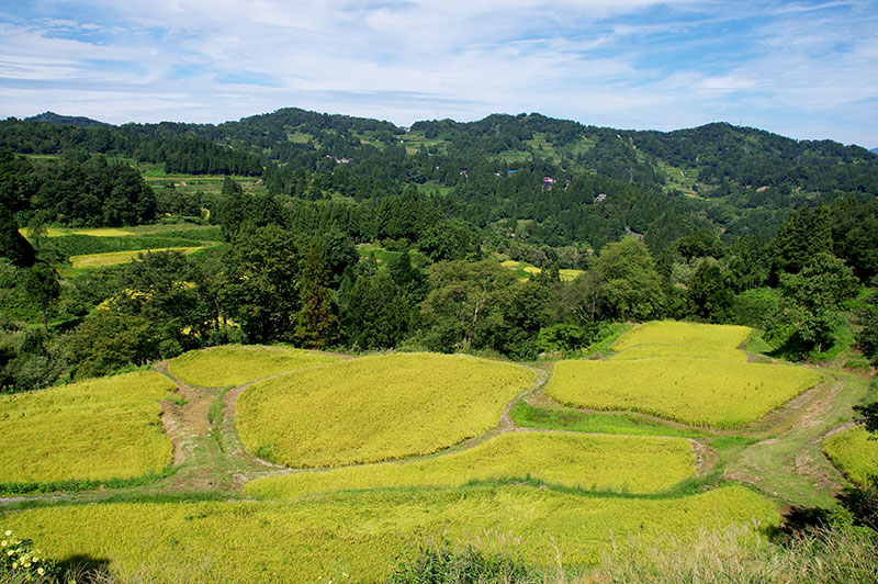 儀明の棚田