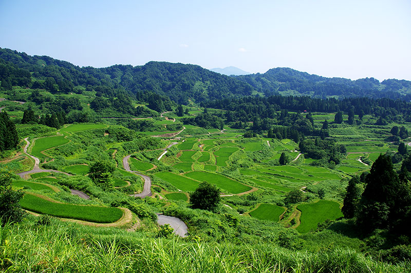 星峠の棚田