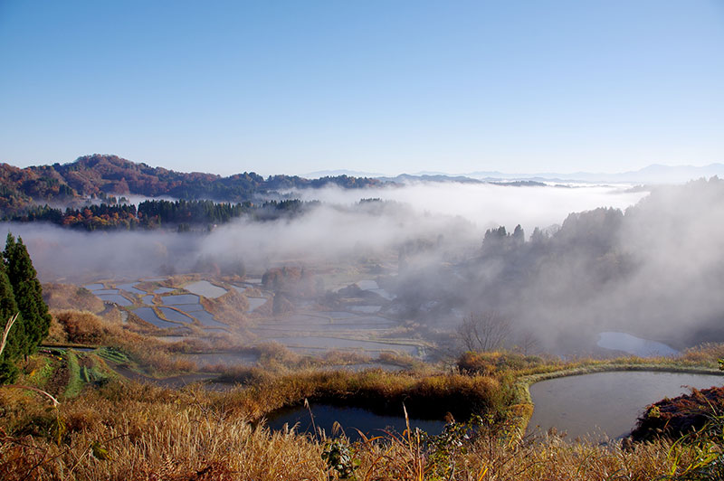 星峠の棚田